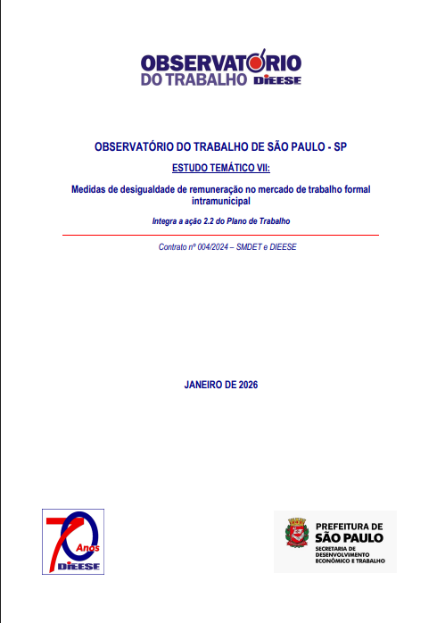 Capa de Medidas de desigualdade de remuneração no mercado de trabalho formal intramunicipal